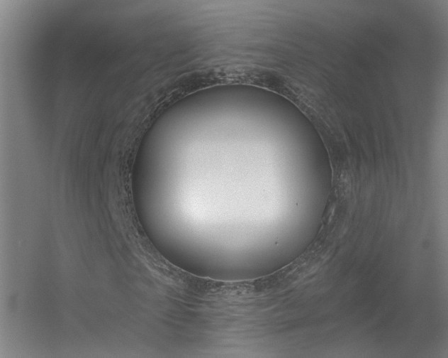 X0000056380865200509021838