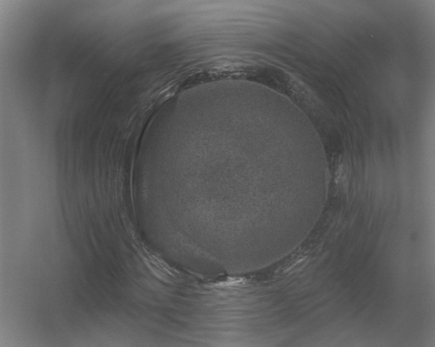 X0000056380868200509021838