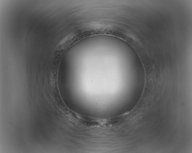X0000056380869200509021838
