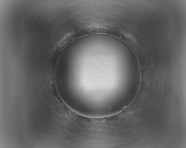 X0000056380870200509021838