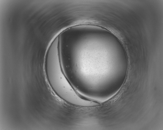 X0000056380912200509021838