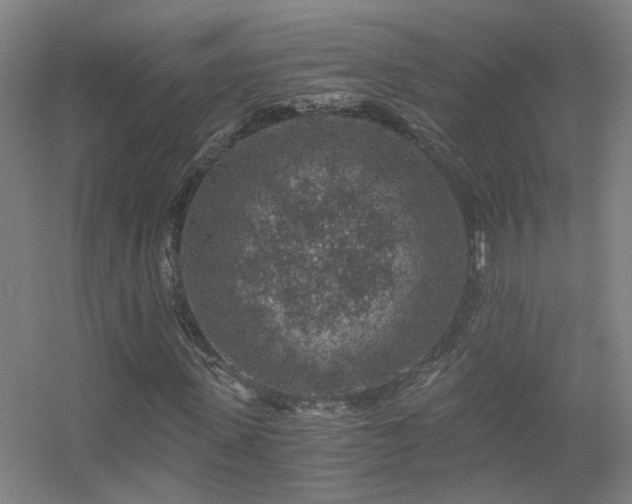 X0000056380915200509021837