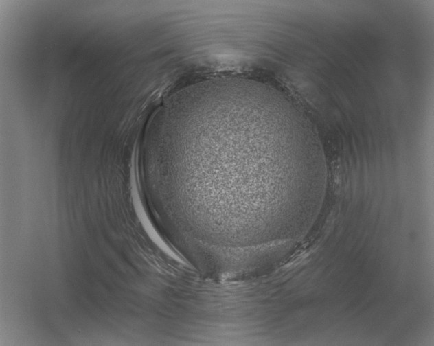 X0000056380916200509021837