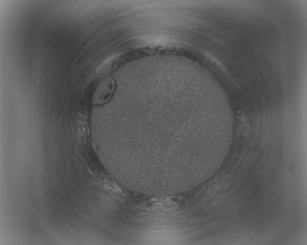 X0000056380918200509021837