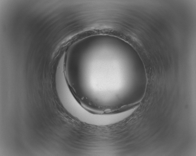 X0000056380920200509021837