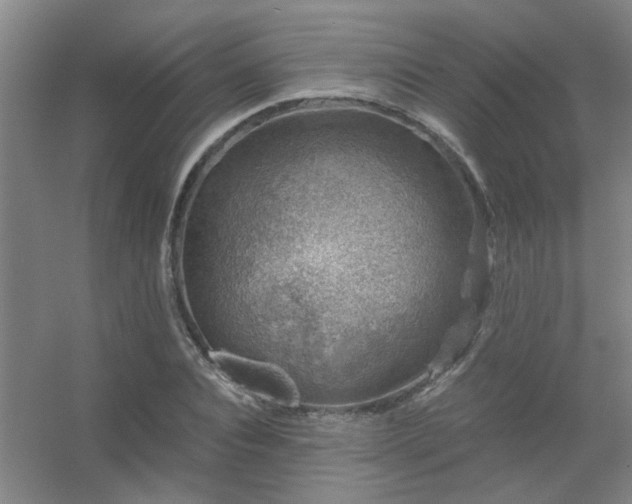 X0000056380928200509021837