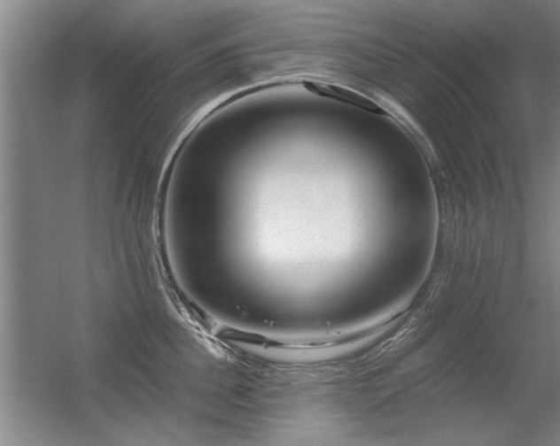 X0000056380956200509021838