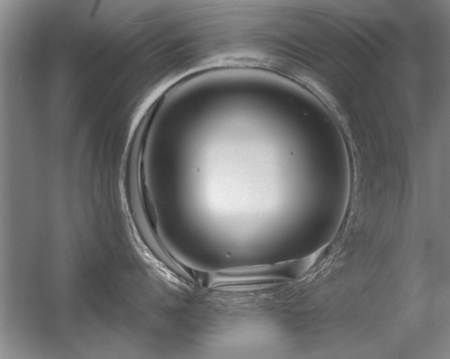X0000056380960200509021838