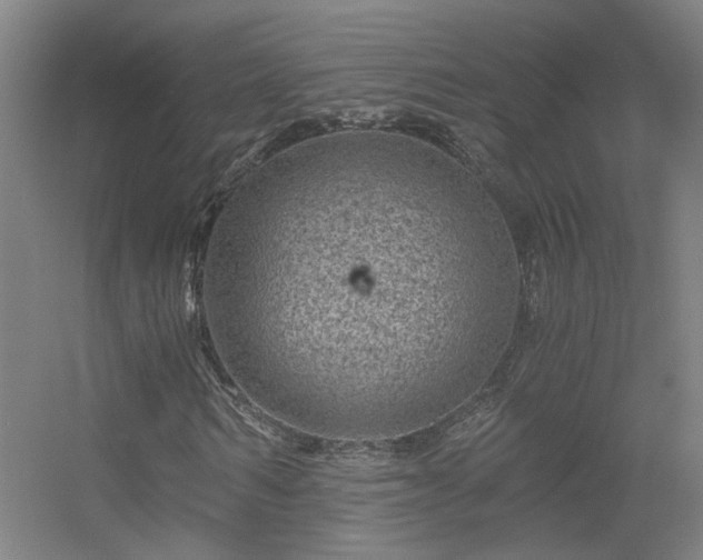 X0000056380962200509021837