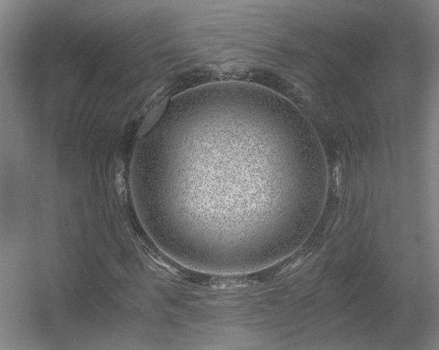 X0000056380963200509021837
