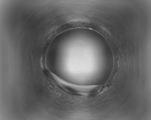 X0000056380965200509021837