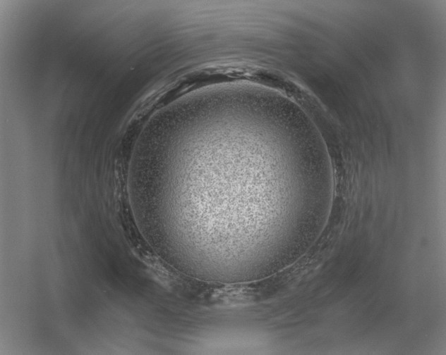 X0000056380967200509021837