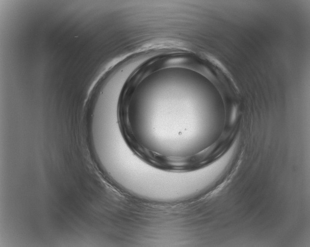X0000056380973200509021837