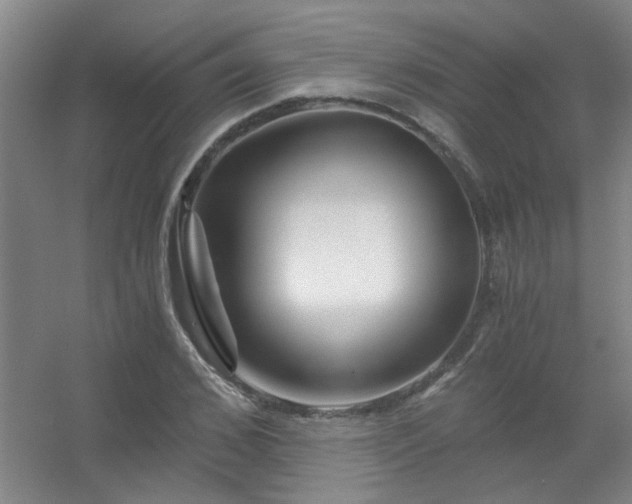 X0000056380976200509021837