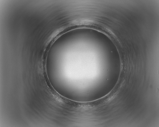 X0000056380978200509021837