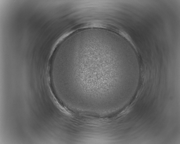 X0000056380987200509021836