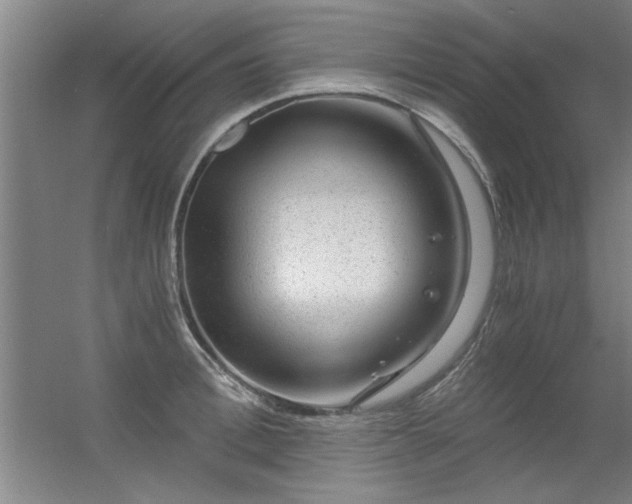 X0000056380996200509021836