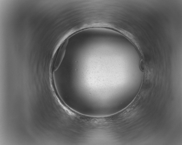 X0000056381006200509021836