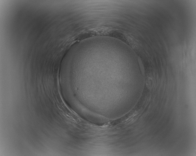 X0000056381010200509021835