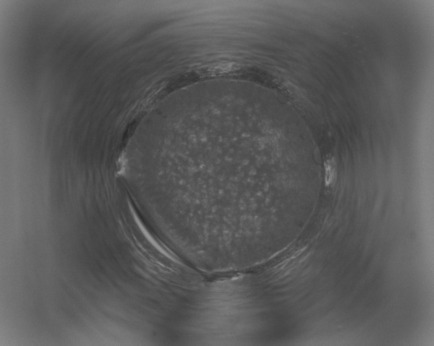 X0000056381011200509021835