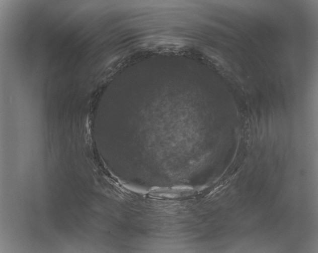 X0000056381013200509021835