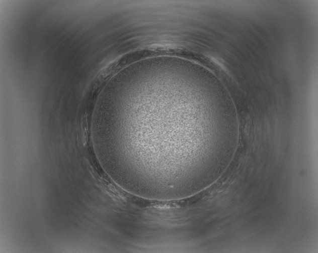 X0000056381015200509021835