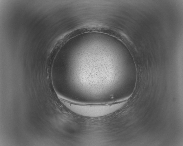 X0000056381016200509021835