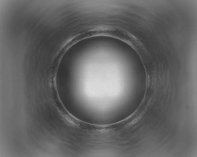 X0000056381017200509021835