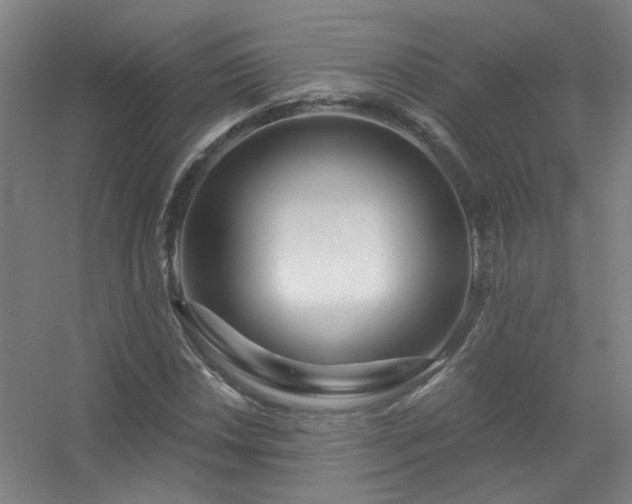 X0000056381018200509021835