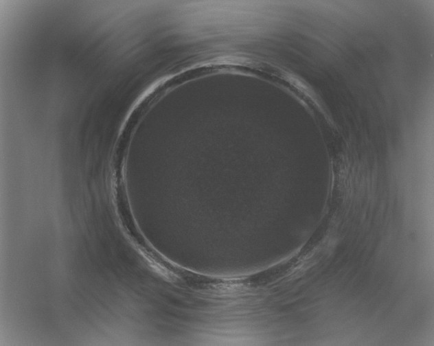 X0000056381024200509021835