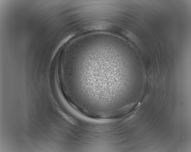 X0000056381026200509021836