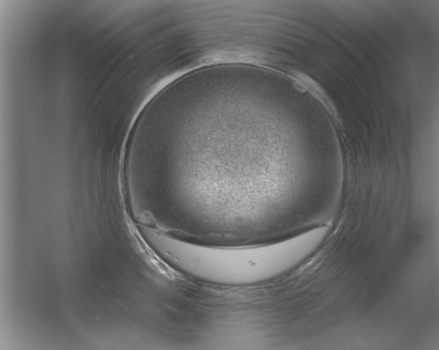 X0000056381052200509021836