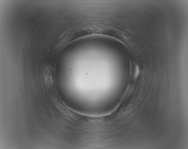 X0000056381058200509021835