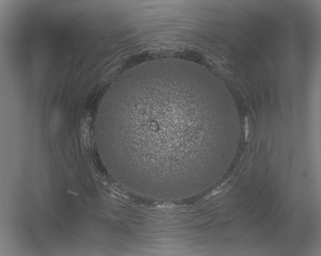 X0000056381059200509021835