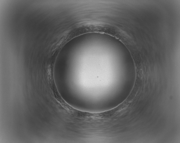X0000056381061200509021835