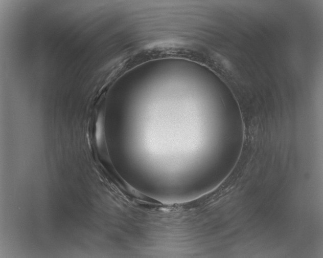 X0000056381062200509021835