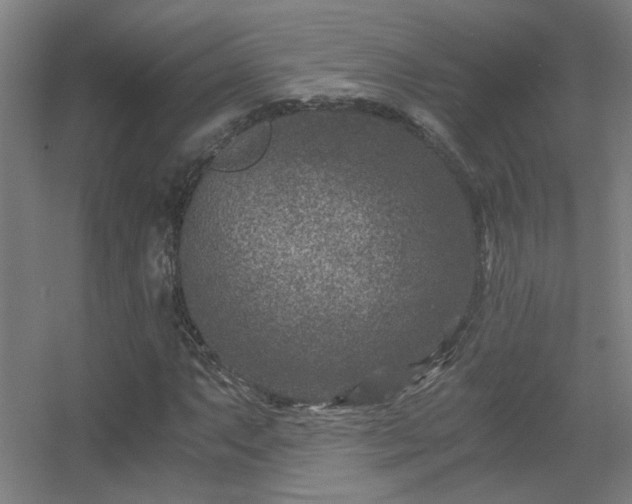 X0000056381063200509021835