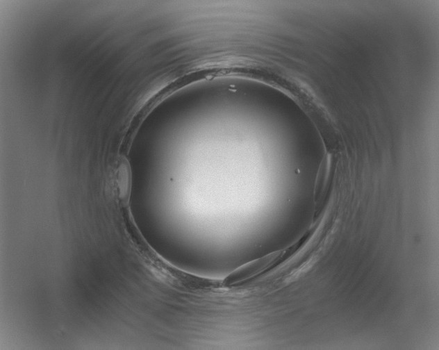 X0000056381073200509021835