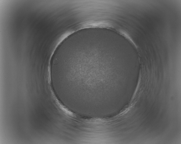 X0000056381079200509021835