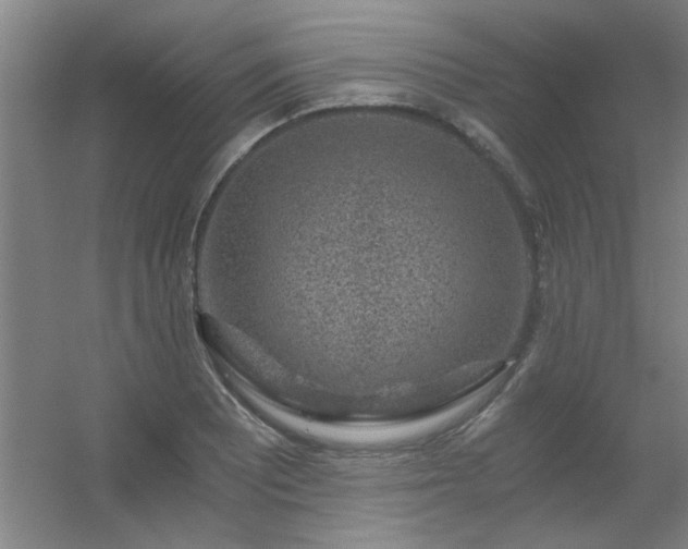 X0000056381081200509021835