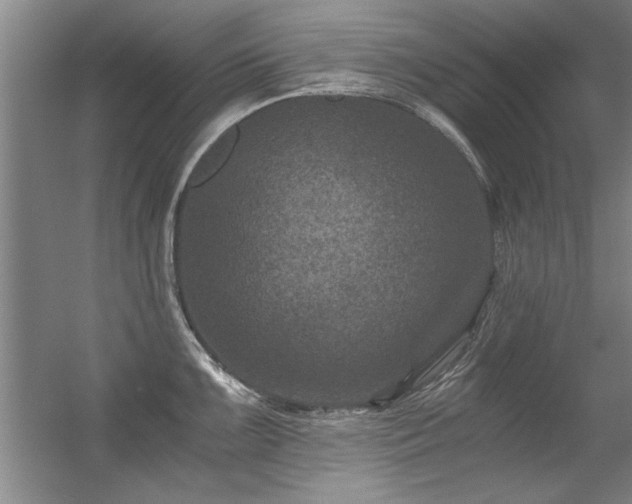 X0000056381099200509021834