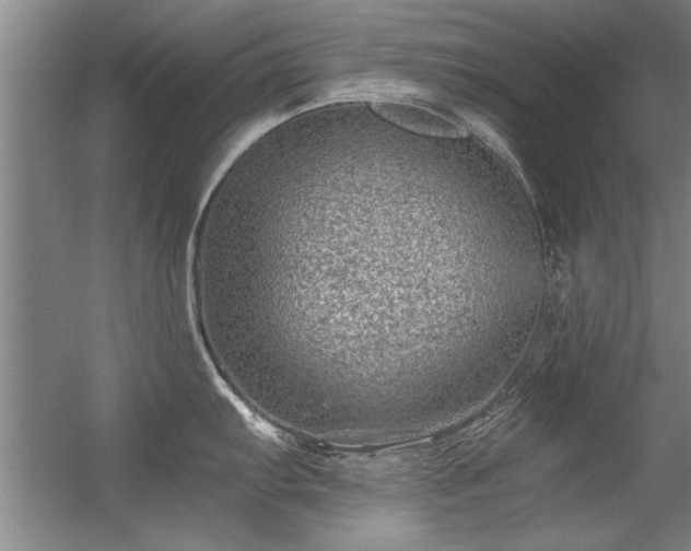 X0000056381103200509021834