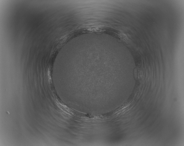 X0000056381106200509021834
