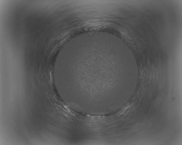 X0000056381109200509021834
