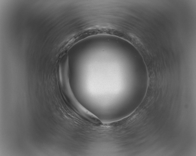 X0000056381110200509021834