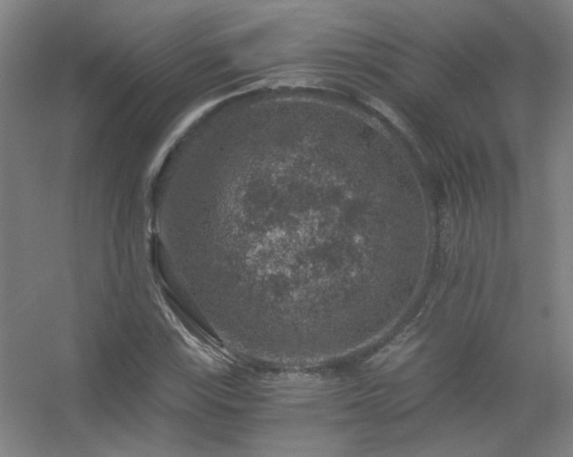 X0000056381115200509021834