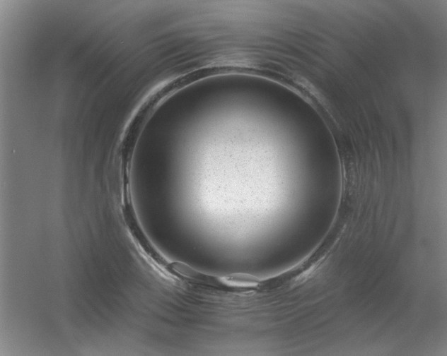 X0000056381123200509021834