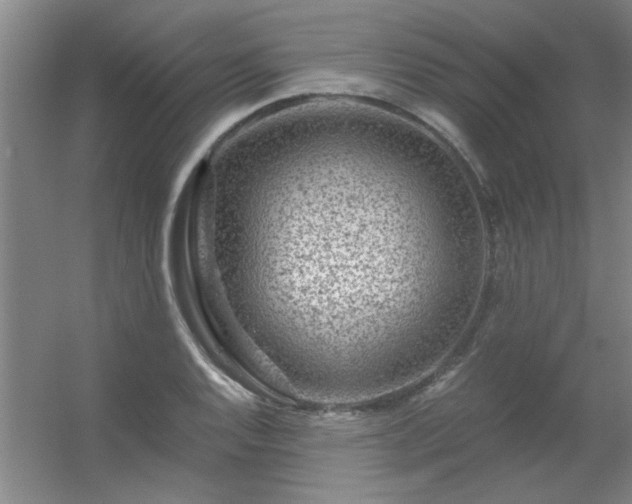 X0000056381128200509021834