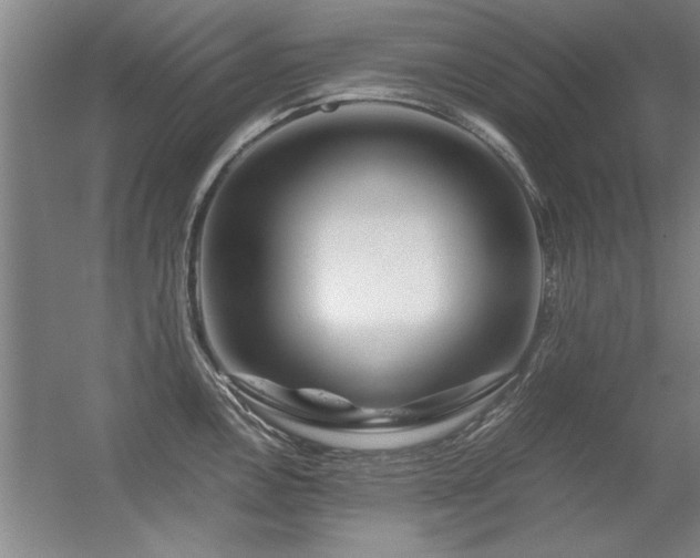 X0000056381146200509021834