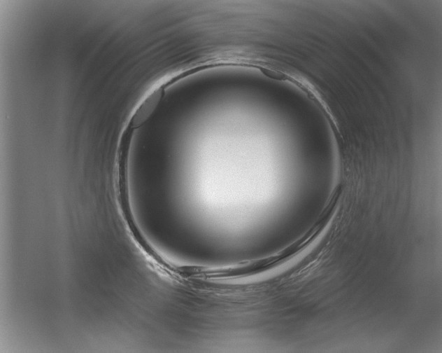 X0000056381147200509021834